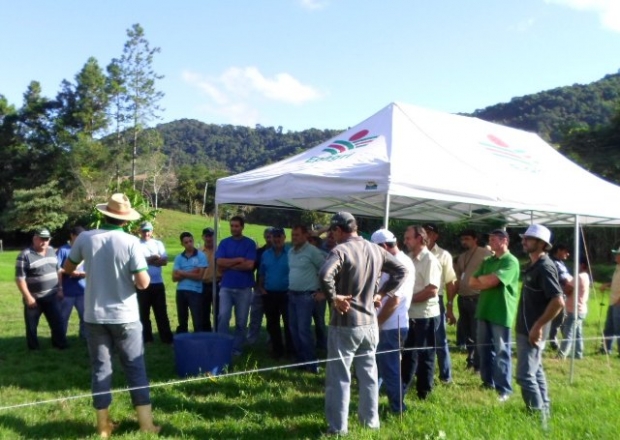 dia de campo sv 20150428 1337106872