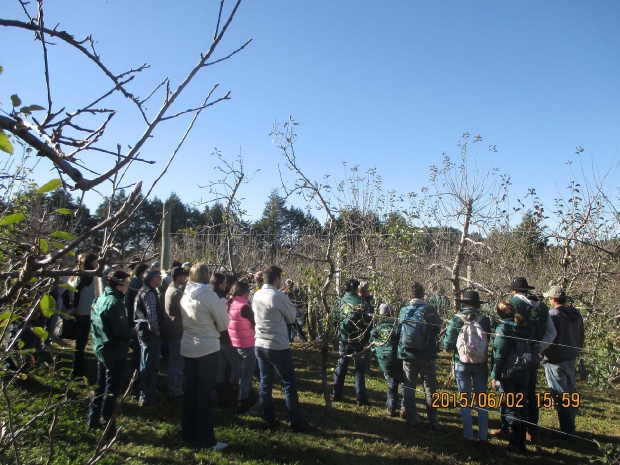 evento epagri poda de macieira 20150612 1565698643