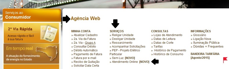 Celesc inaugura canal direto com consumidor pela Agência WEB