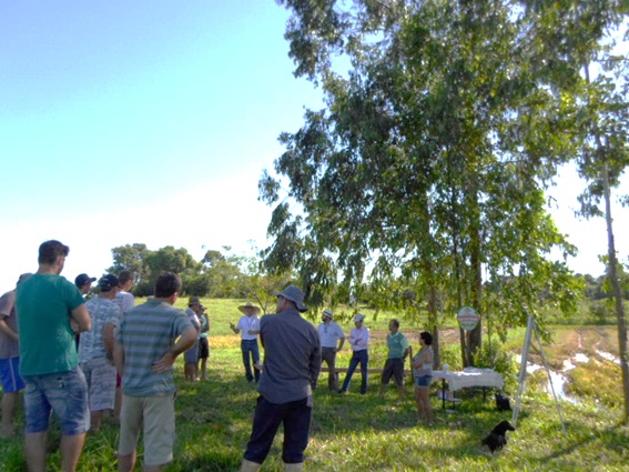 dia de campo arroz meleiro 20160229 1035456818