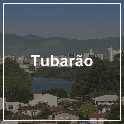 Tubarão