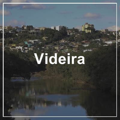Videira