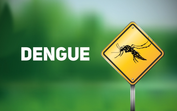 dengue ilustrativa 20161215 1492476769