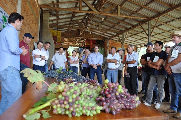 dia de campo viticultura 20170126 1492143857