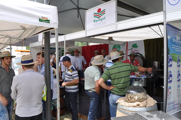 Epagri apresentou inovações tecnológicas e novas variedades de uva durante evento Foto: Josiane Zago/ ADR Videira