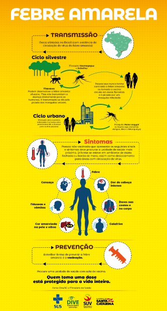 Febre Amarela Transmiss O Sintomas E Formas De Preven O Ag Ncia De Not Cias Secom
