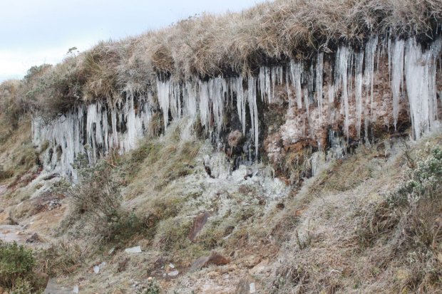 Santa Catarina registra temperaturas negativas e frio segue