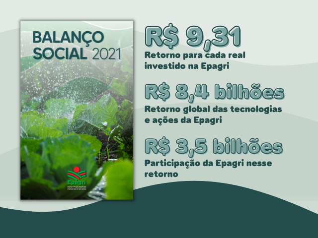 Balanço Social Epagri 1