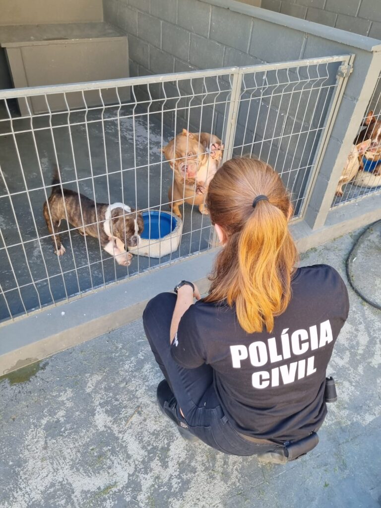 policial em frente a um cercado com cães filhotes