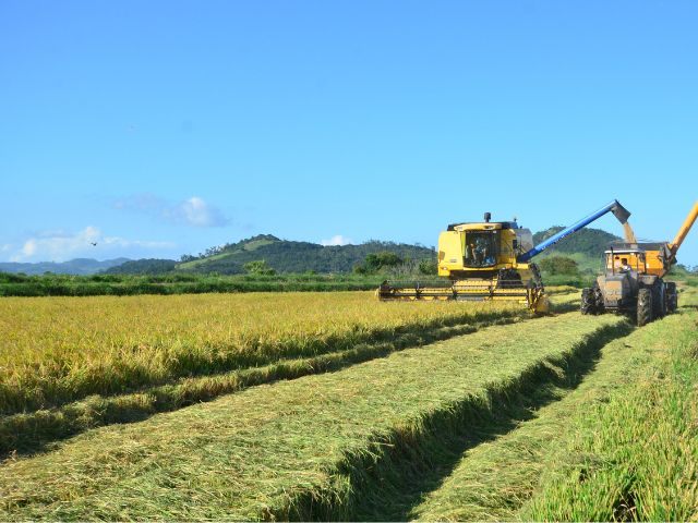 A queda do legÃtimo! - Diário Brasileiro