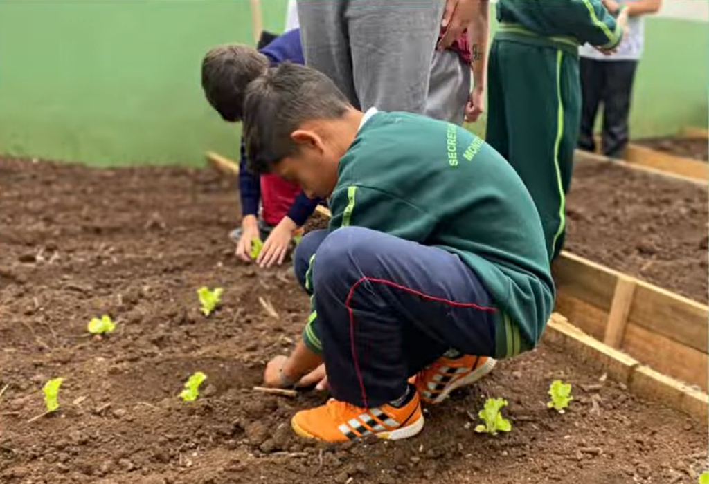 Criança planta mudas em horta comunitária de escola de Monte Carlo