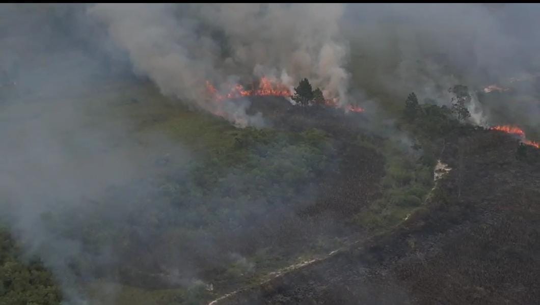 Corpo de Bombeiros Militar combate incêndio no Parque Estadual da Serra do Tabuleiro