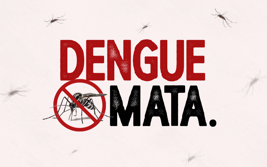 Dengue em SC: estado ultrapassa 13 mil casos prováveis da doença e chega a  oito óbitos - Agência de Notícias SECOM