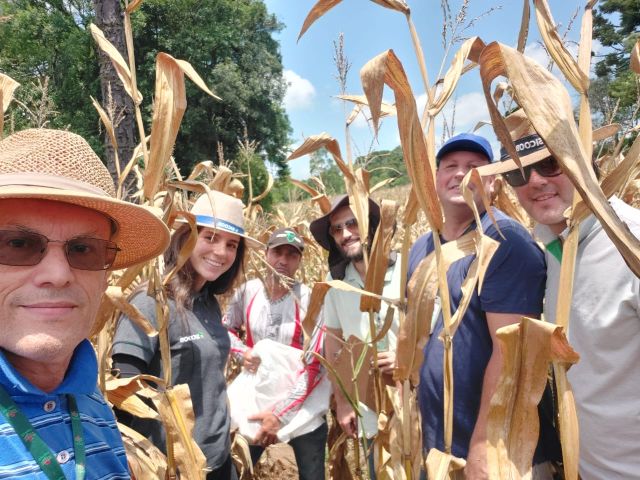 Epagri e Sicoob promovem Giro da Safra no Planalto Norte para avaliar produtividade do milho
