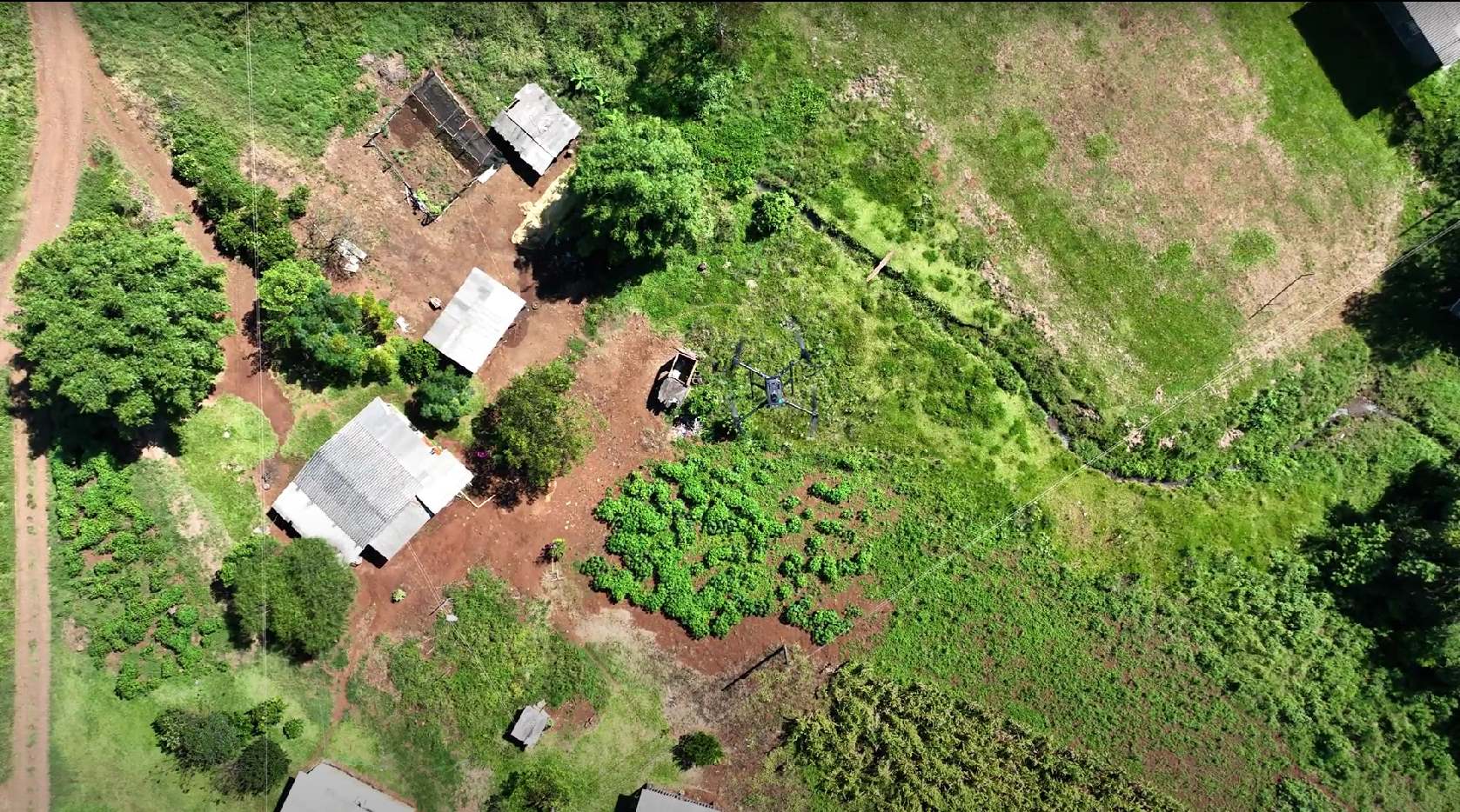 Defesa sanitária vegetal utiliza drones para identificar doenças