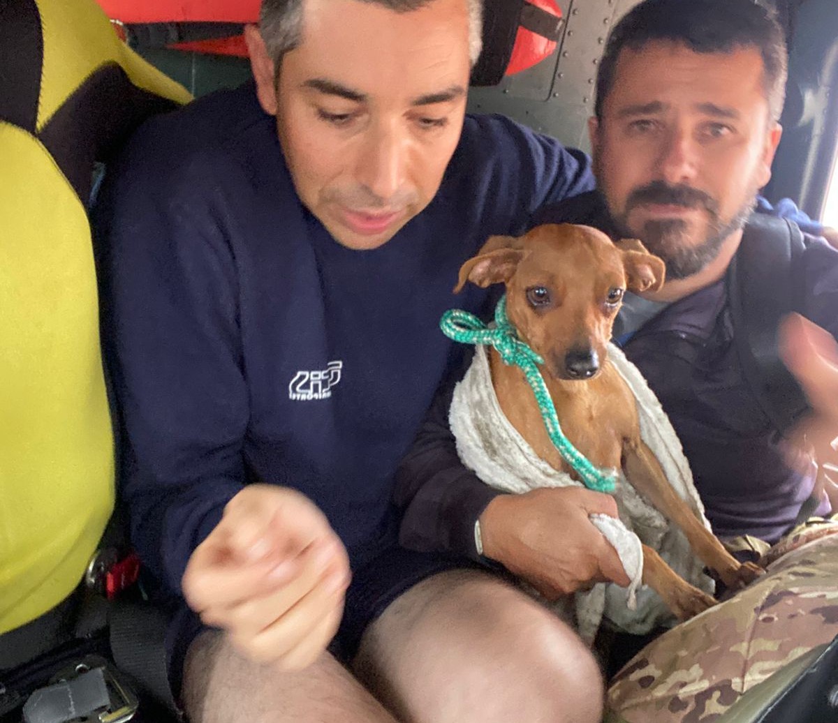 Equipes da Polícia Militar de SC resgatam 670 pessoas e 80 animais de estimação no Rio Grande do Sul