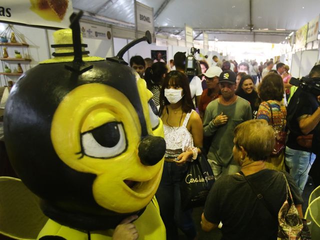 Feira estadual do mel de Santa Catarina começa nesta quarta-feira em Florianópolis