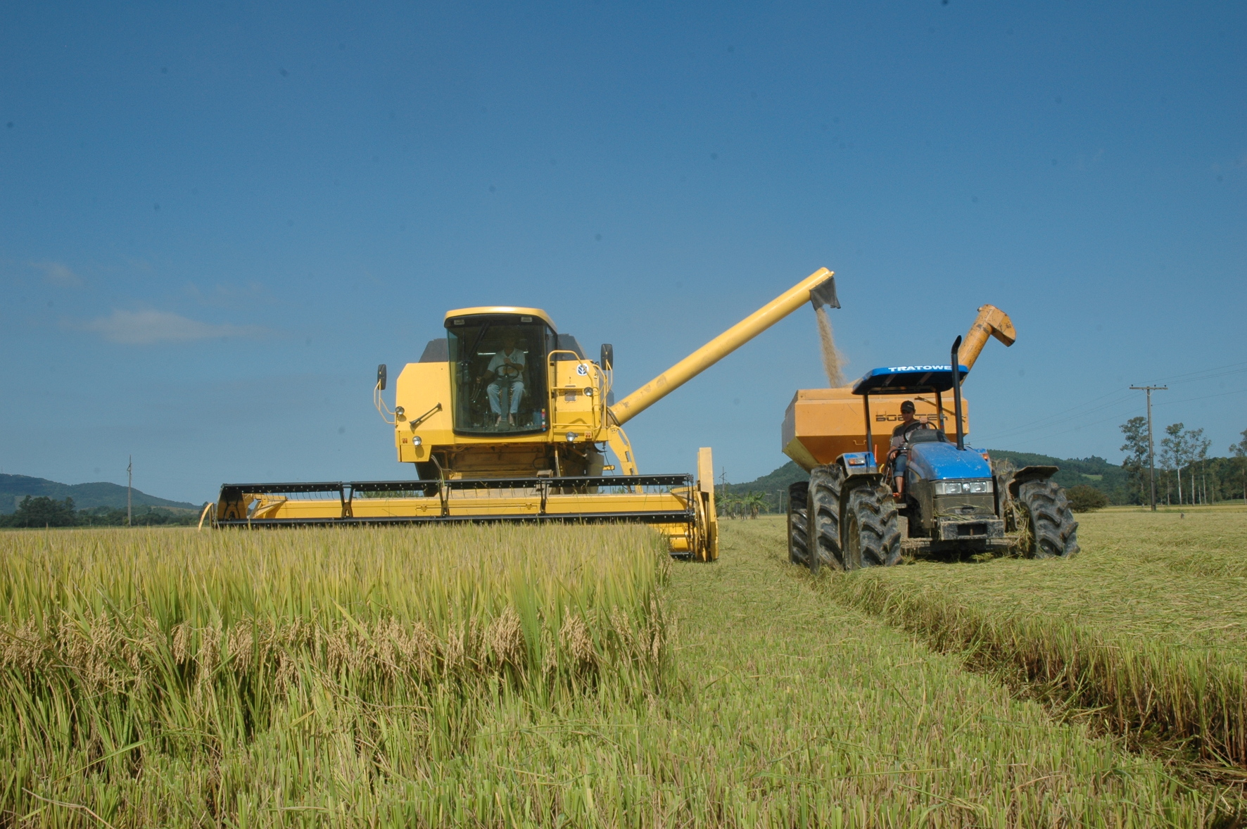 Cooperativas geram 60 mil empregos e são parceiras do Estado no desenvolvimento do agronegócio catarinense