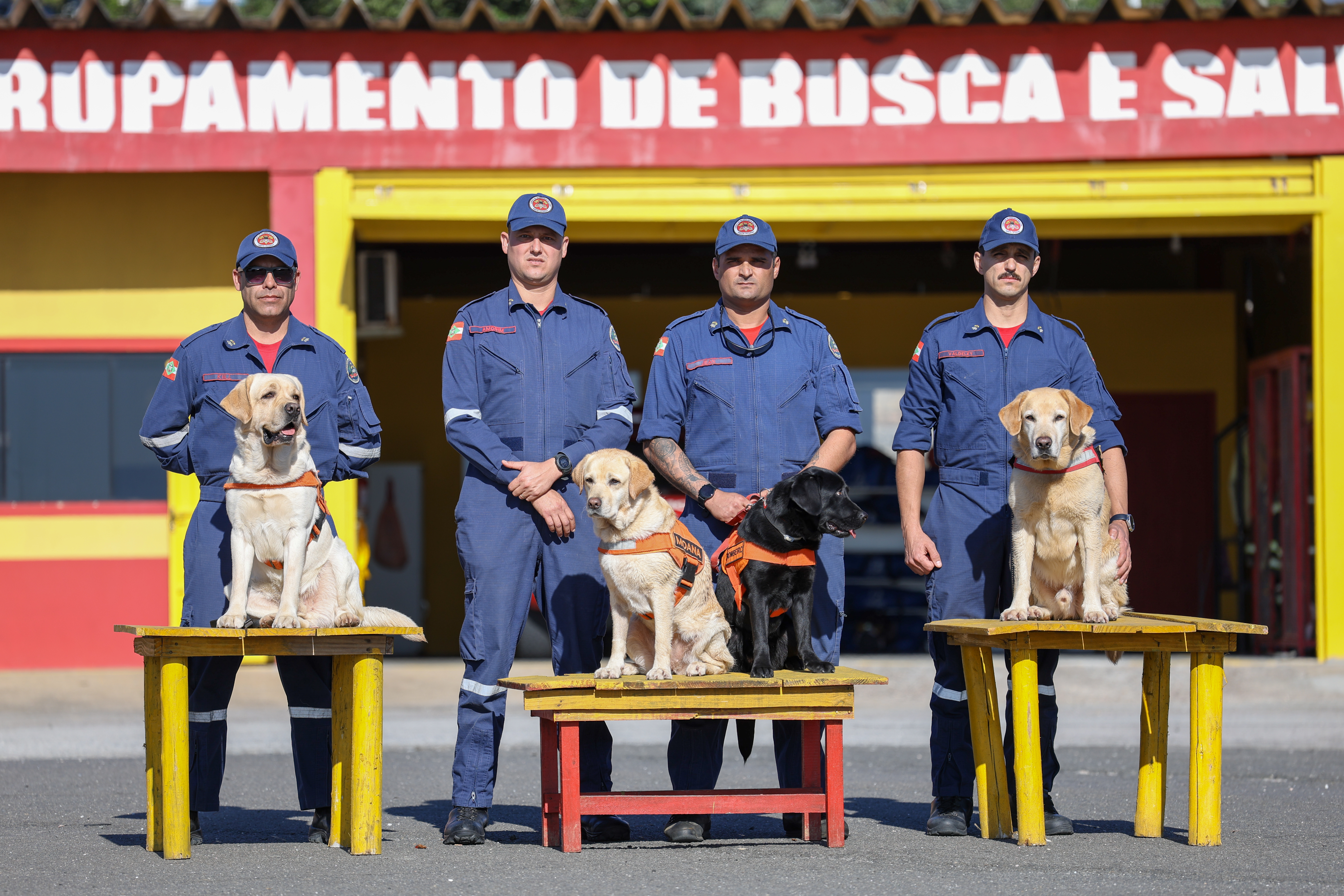 Referência nacional em busca e salvamento, CBMSC investe em treinamento conjunto com cães