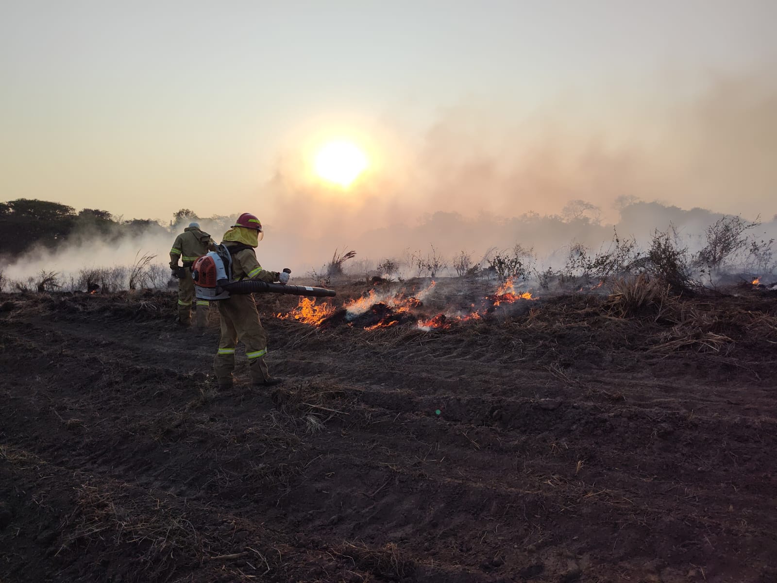 Queimadas no Pantanal: bombeiros de Santa Catarina completam cinco dias de combate às chamas