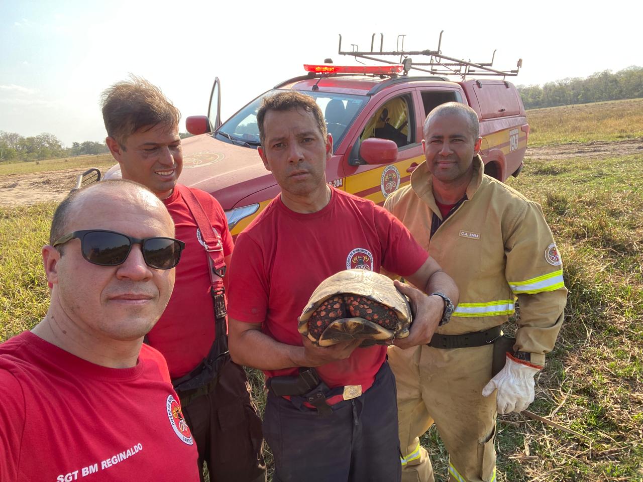 Queimadas no Pantanal: atuação do CBMSC vai além do combate ao fogo