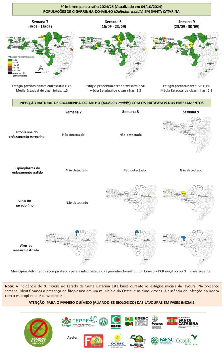 Notícias de Santa Catarina - SC HOJE