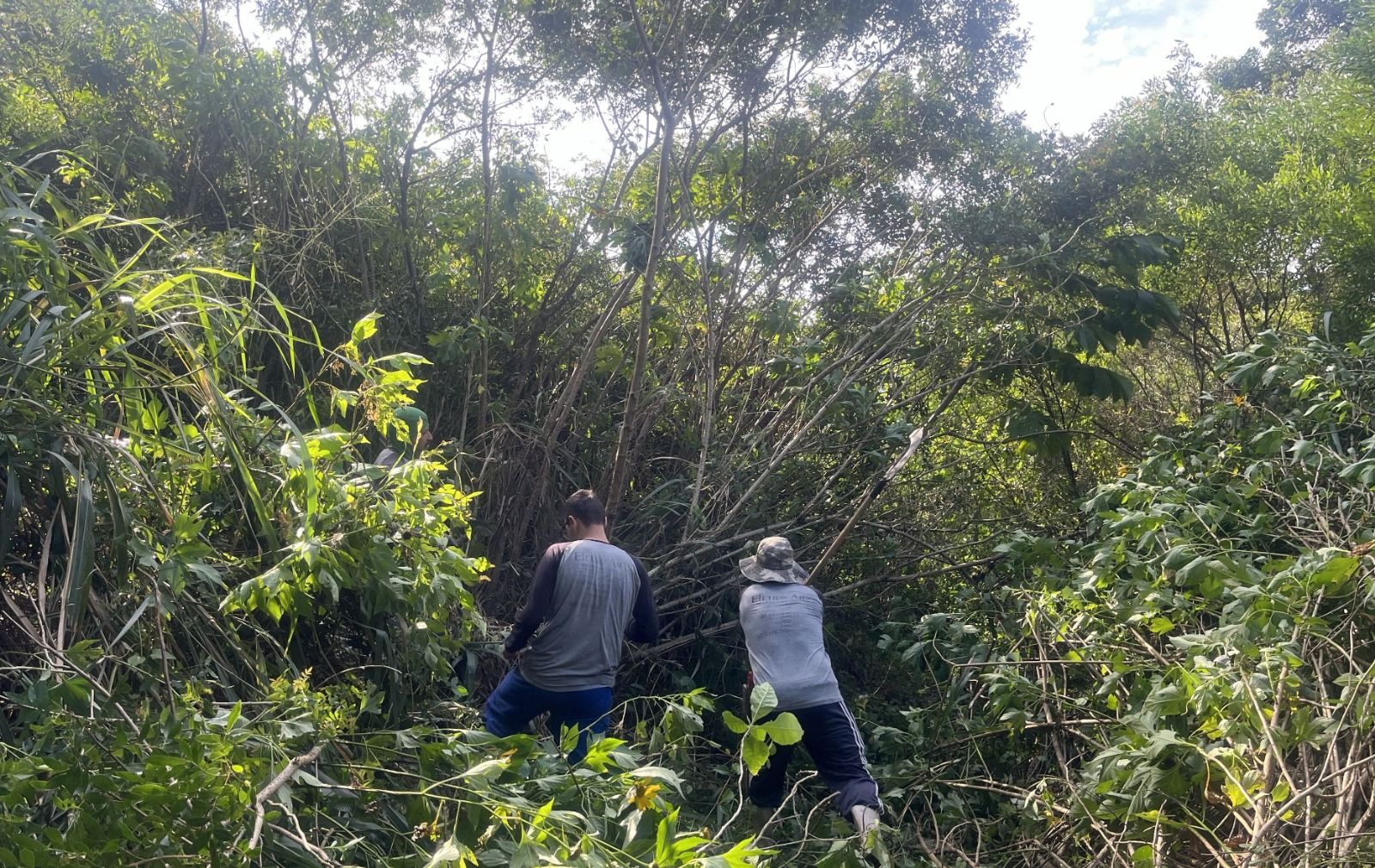 Casan inicia nova etapa do Programa de Recuperação Ambiental da Lagoa da Conceição