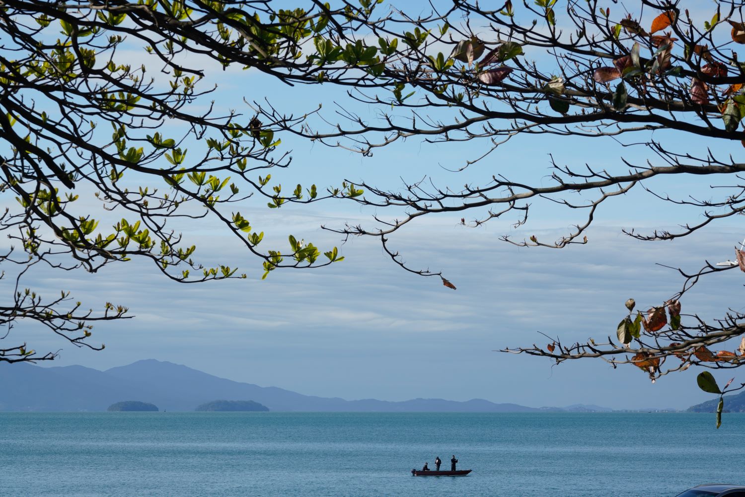 Previsão do tempo: último dia do ano de 2024 tem instabilidades e risco de temporais em Santa Catarina