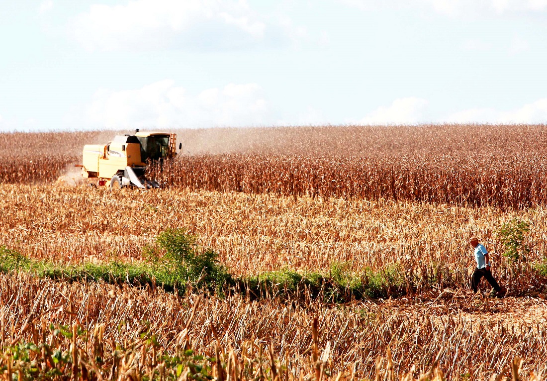 Agro Economia Santa Catarina