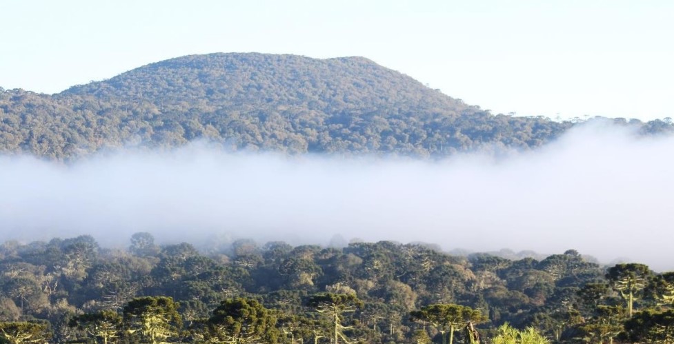 Foto: Reprodução/Secom SC