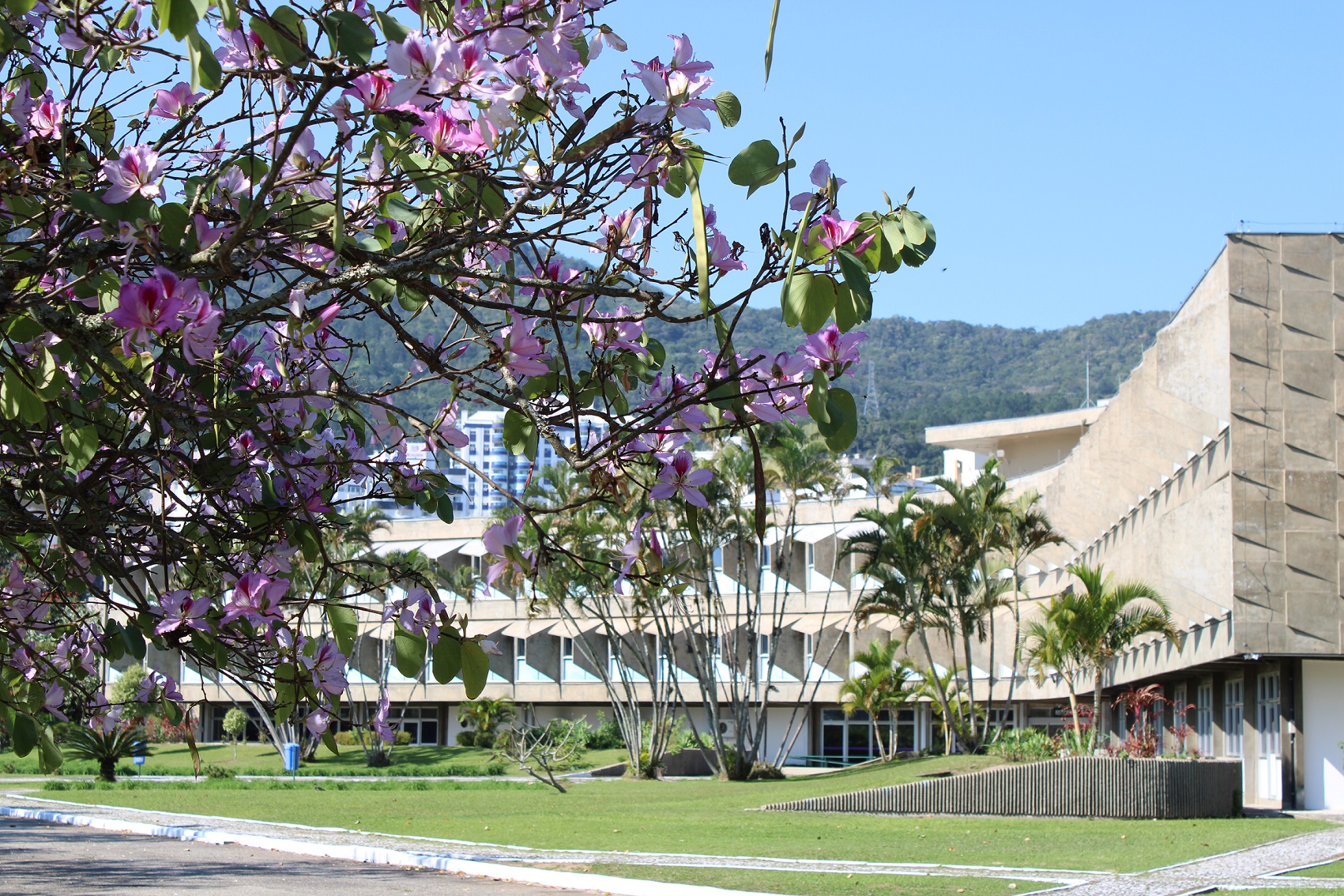 Foto: Udesc_Rafael Cassaniga