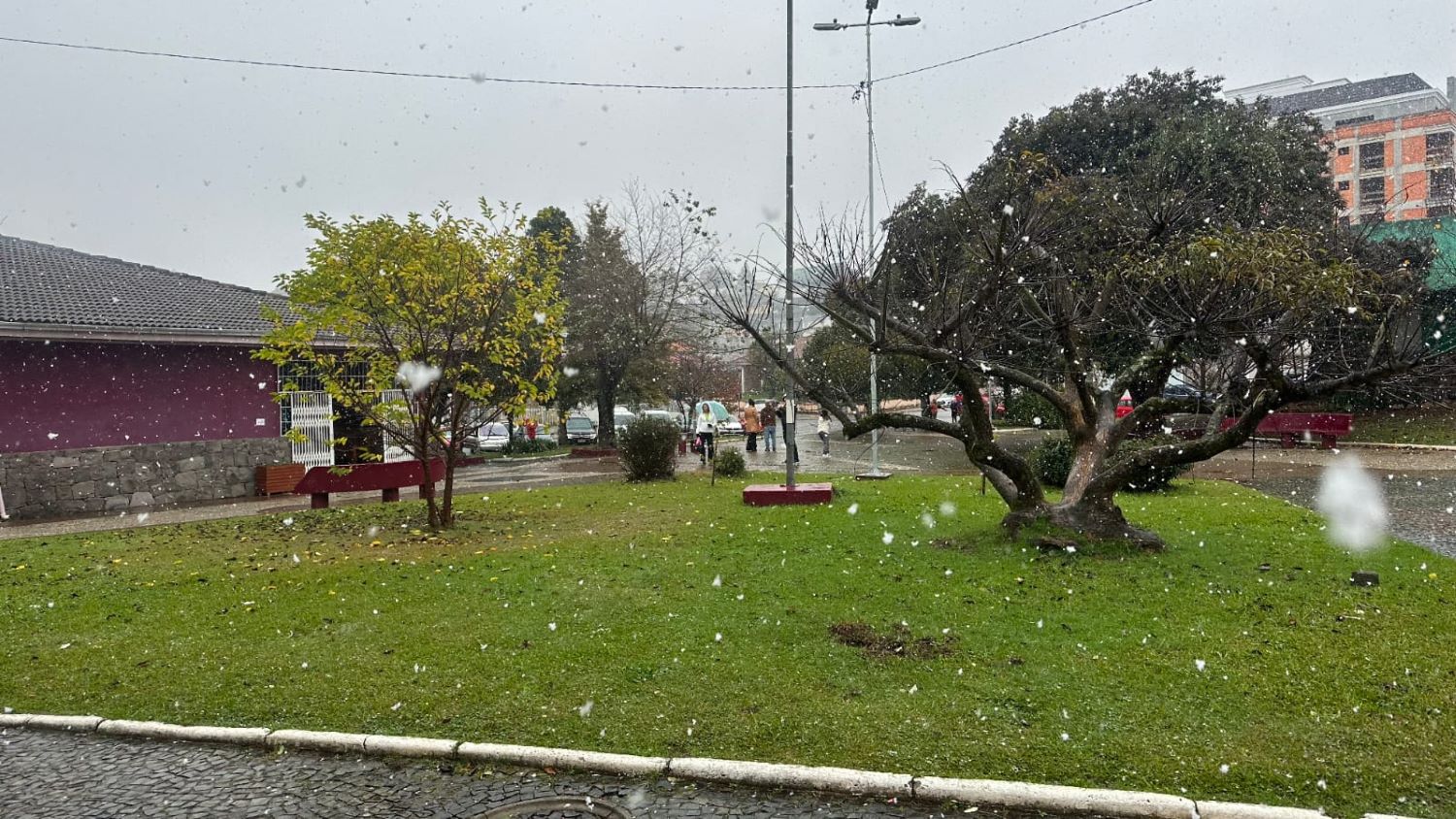 Neve em Santa Catarina: Primeiro registro do ano acontece nesta quinta-feira (29)