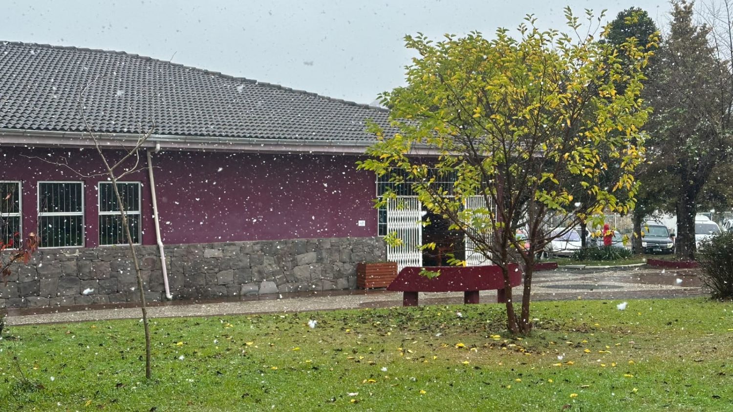 Neve em Santa Catarina: Primeiro registro do ano acontece nesta quinta-feira (29)